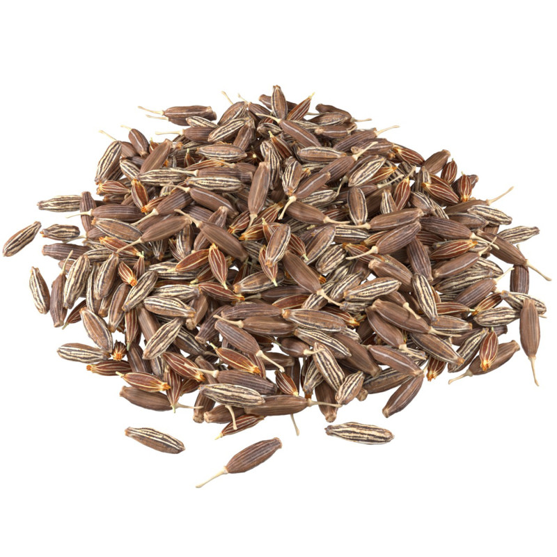 Cumin pile Modelo 3D .c4d .max .obj .3ds .fbx .stl .blend