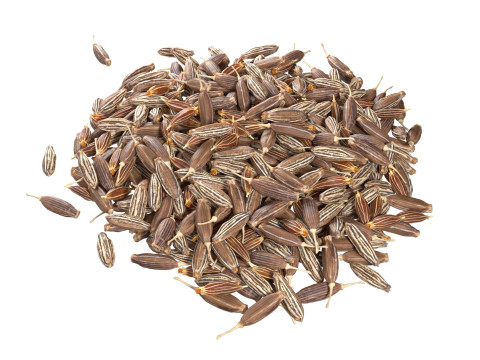 Cumin pile Modelo 3D