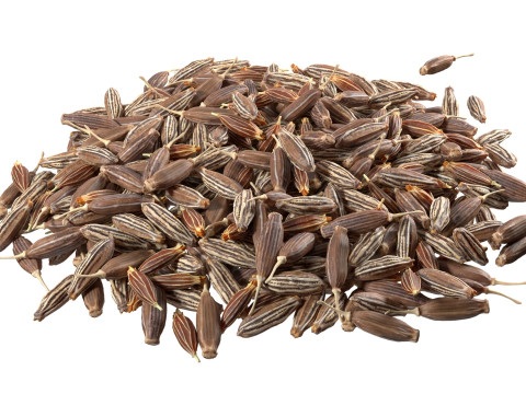 Cumin pile Modelo 3D