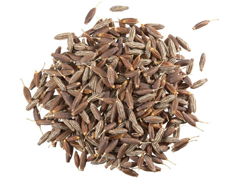 Cumin pile Modelo 3D