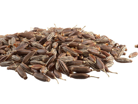Cumin pile Modelo 3D