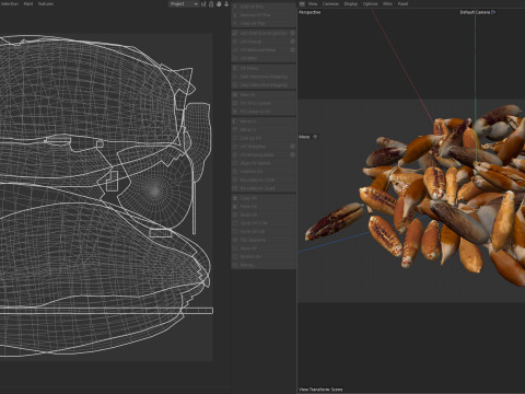 Date seed pile 3Dモデル