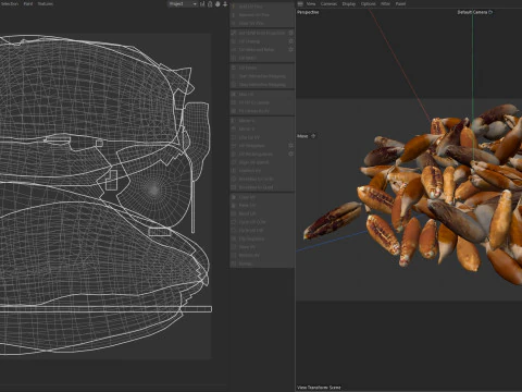 Date seed pile 3D Model