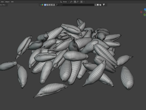 Date seed pile 3Dモデル