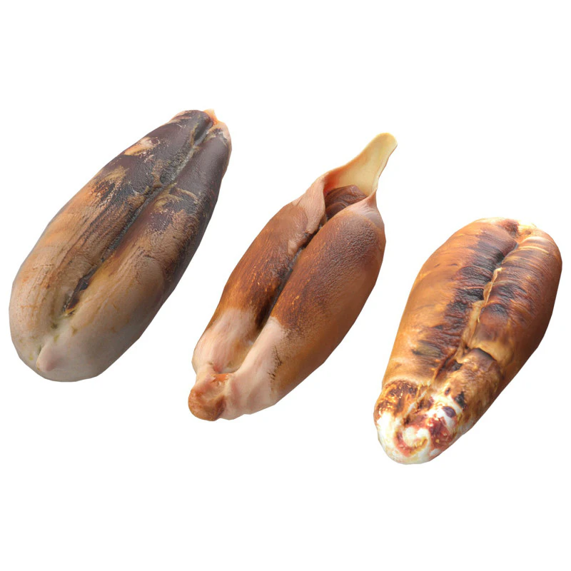 Date seeds 3D Model .c4d .max .obj .3ds .fbx .stl .blend 