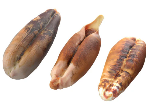 Date seeds 3D Model