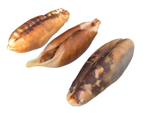 Date seeds 3D Model