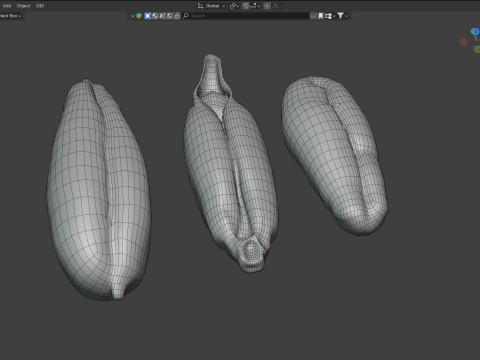 Date seeds Modelo 3D
