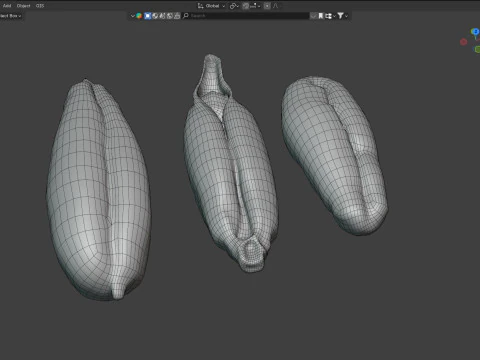 Date seeds 3D Model
