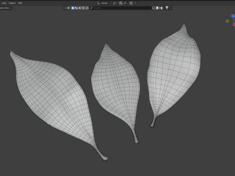 Dried bay leaves 3D 模型