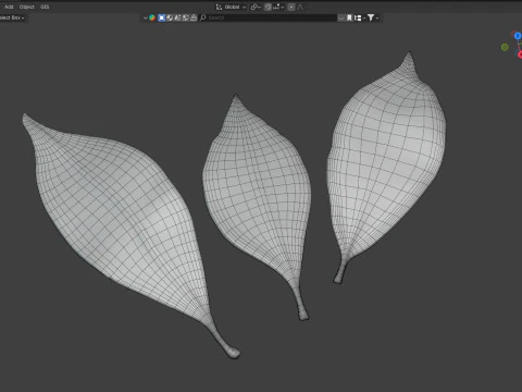 Dried bay leaves 3D Model