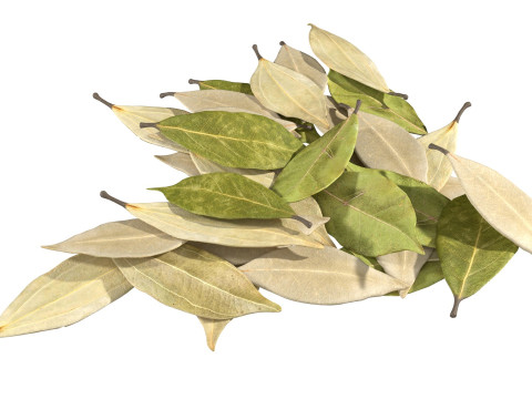 Dried bay leaves pile Model 3D