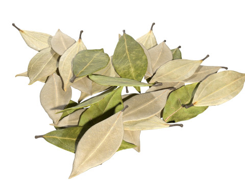 Dried bay leaves pile 3D Model