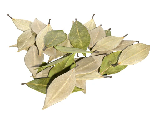 Dried bay leaves pile 3D Model
