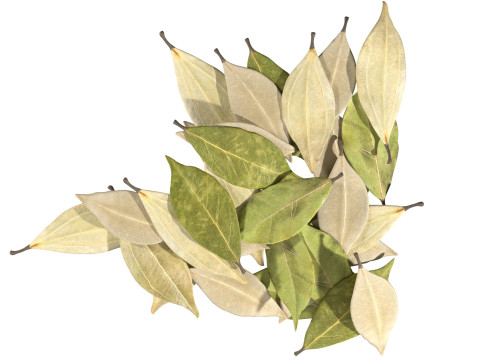 Dried bay leaves pile 3D Model
