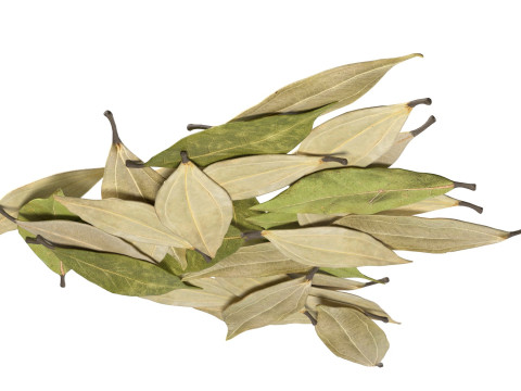 Dried bay leaves pile 3D Model