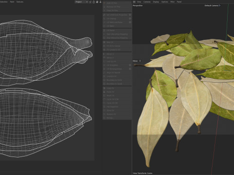 Dried bay leaves pile 3D Model