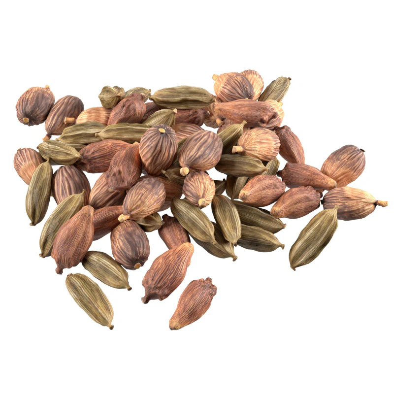 Dried cadamom fruit pile 3D Model .c4d .max .obj .3ds .fbx .stl .blend