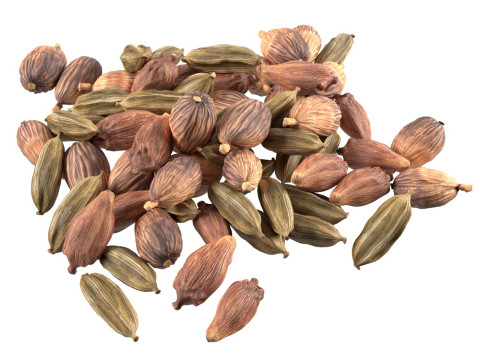 Dried cadamom fruit pile Model 3D