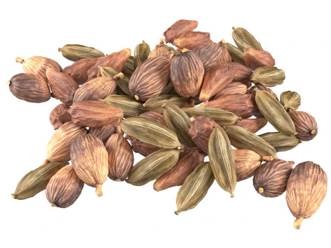 Dried cadamom fruit pile 3D Model