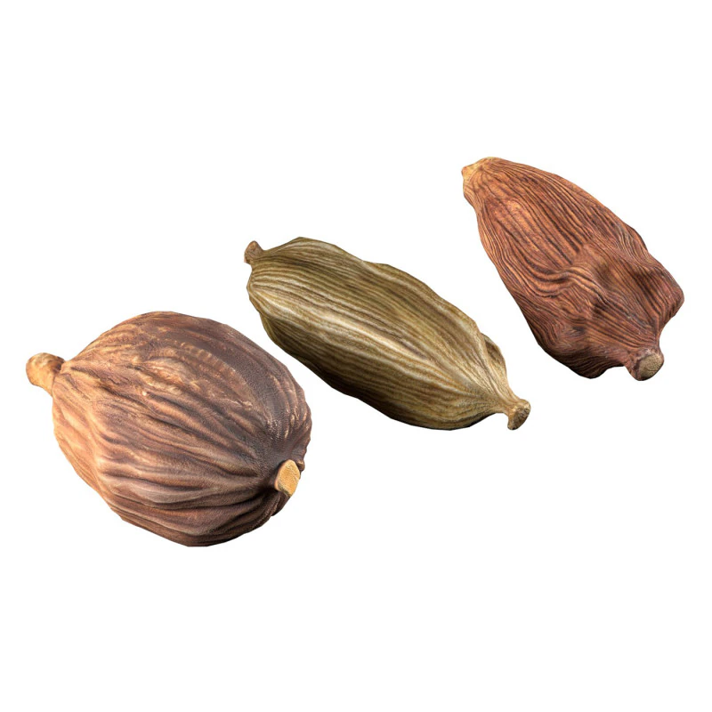 Fruta seca de cardamomo Modelo 3D .c4d .max .obj .3ds .fbx .stl .blend 