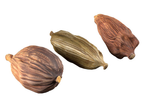 Dried cardamom fruit Model 3D