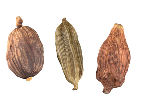Dried cardamom fruit Modelo 3D