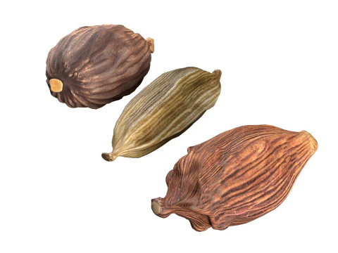 Fruta seca de cardamomo Modelo 3D