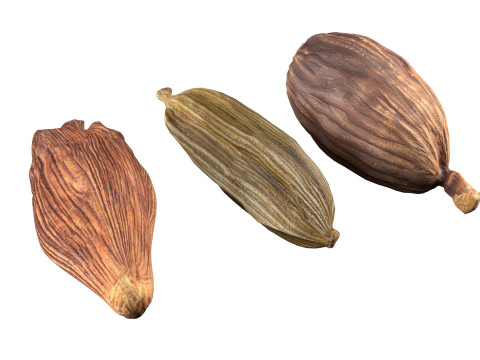 Dried cardamom fruit Modelo 3D