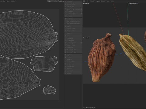 Dried cardamom fruit Modelo 3D