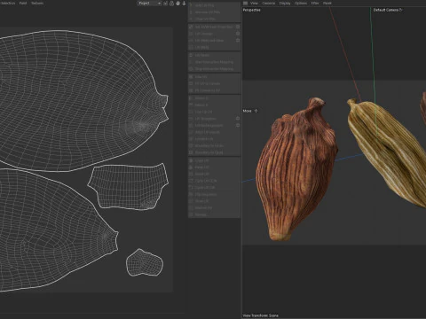 Fruta seca de cardamomo Modelo 3D