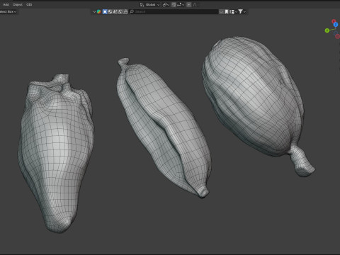 Dried cardamom fruit Modelo 3D