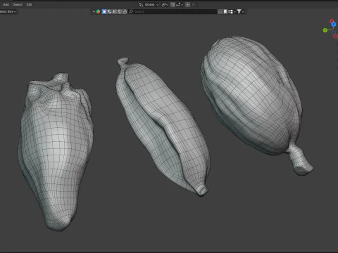 Fruta seca de cardamomo Modelo 3D