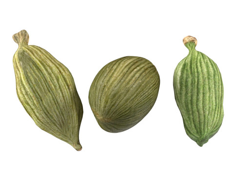 Dreid Green cardamom Model 3D