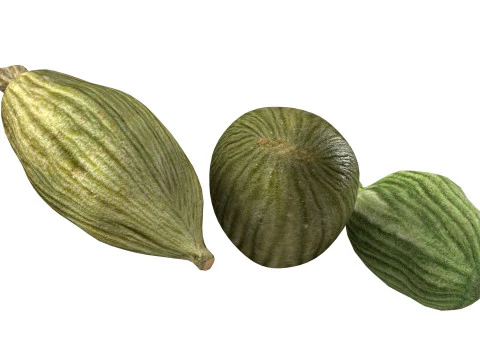 Dreid Green cardamom 3D Model