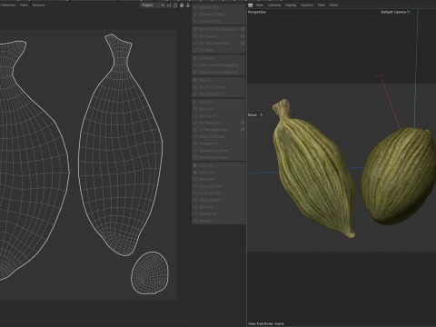 Dreid Green cardamom 3D 모델