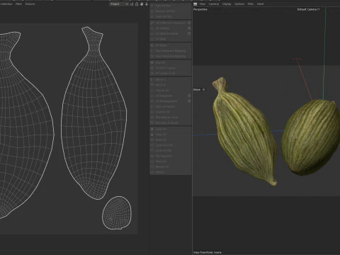 Dreid Green cardamom 3D Model