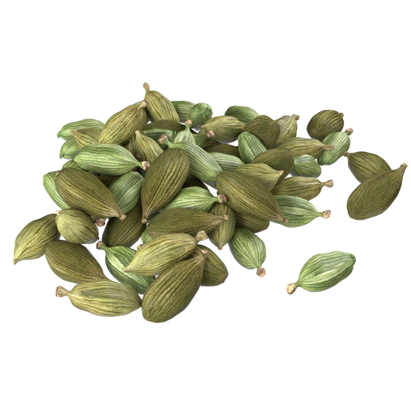 Dried green cardamom pile 3D 模型 .c4d .max .obj .3ds .fbx .stl .blend