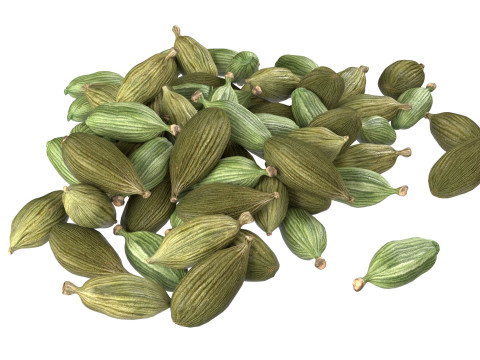 Dried green cardamom pile 3D 模型