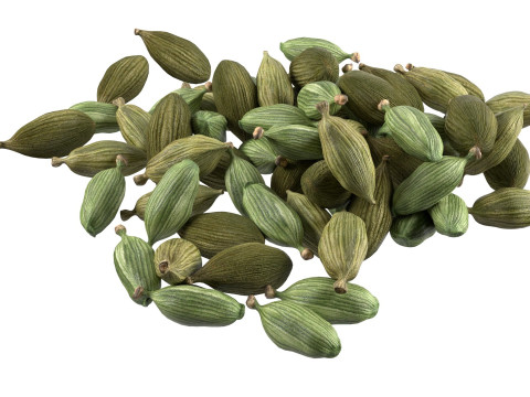 Dried green cardamom pile 3D 模型