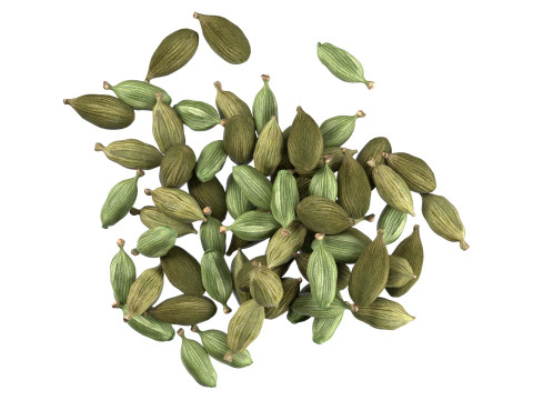 Dried green cardamom pile 3D 模型