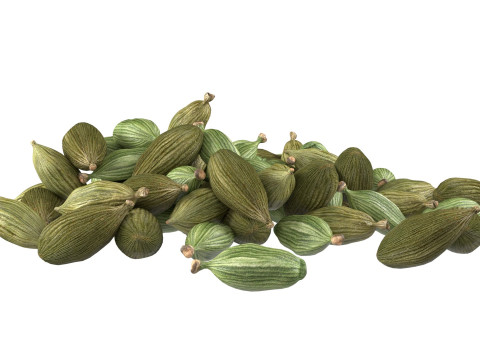 Dried green cardamom pile 3D 模型