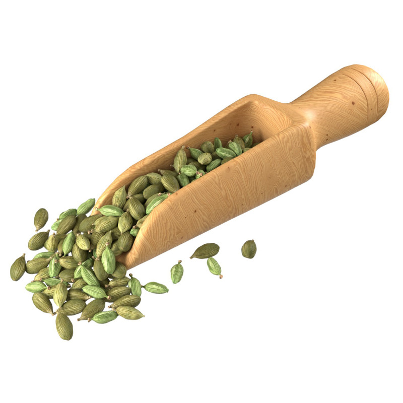 Dried green cardamom scoop 3D Model .c4d .max .obj .3ds .fbx .stl .blend