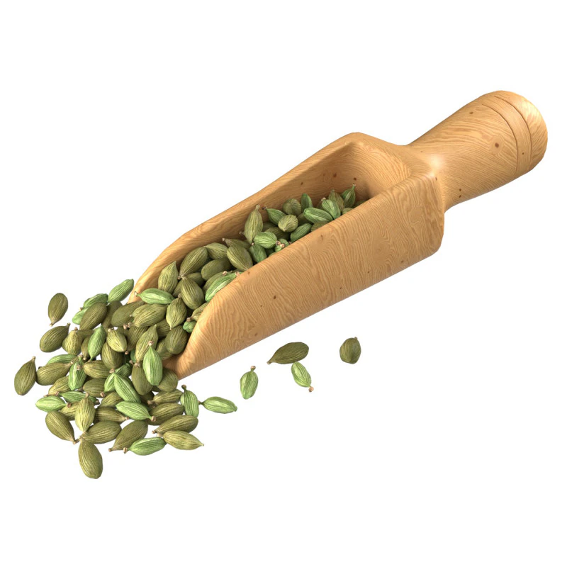 Dried green cardamom scoop 3D Model .c4d .max .obj .3ds .fbx .stl .blend 