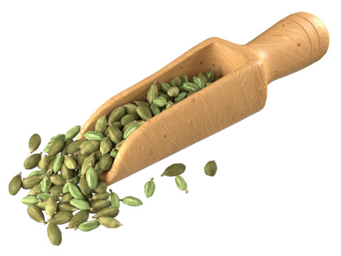 Dried green cardamom scoop Model 3D
