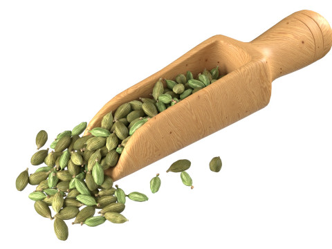 Dried green cardamom scoop 3D 모델