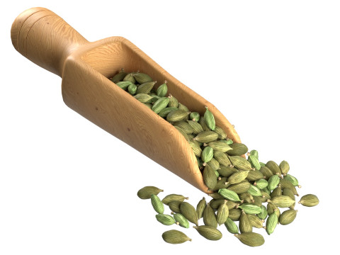 Dried green cardamom scoop 3D 모델