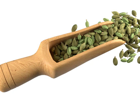Dried green cardamom scoop 3D Model