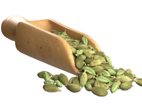 Dried green cardamom scoop 3D 모델