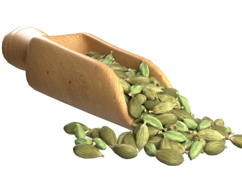 Dried green cardamom scoop 3D Model